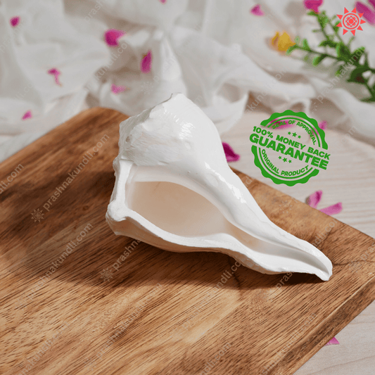 Dakshinavarti Shankh: The Ultimate King of All Shankh - Prashna Kundli Astrology product and vedic astrology