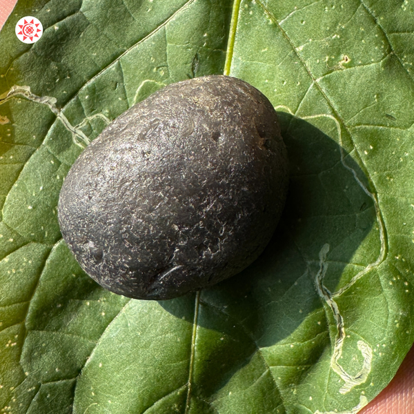 Chintamani Stone - Enhance Your Spiritual Journey with Healing Energy - Prashna Kundli Astrology product and vedic astrology