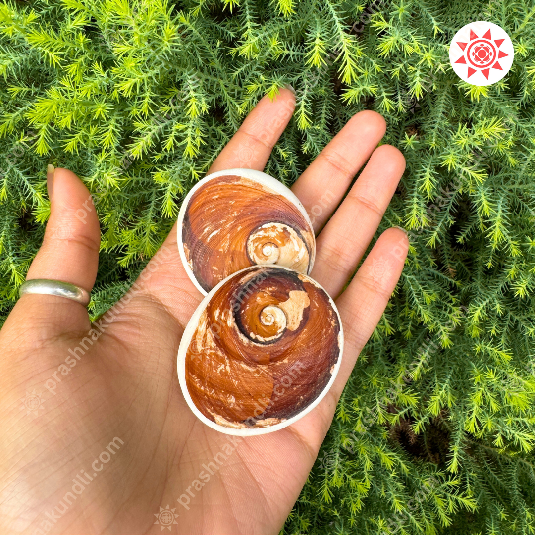 🌀 Gomati Chakra – Wheel of Divine Fortune & Protection - Prashna Kundli Astrology product and vedic astrology