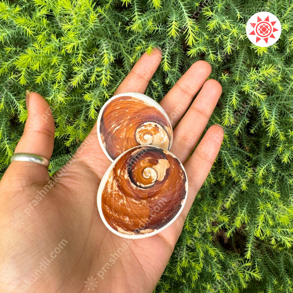 🌀 Gomati Chakra – Wheel of Divine Fortune & Protection - Prashna Kundli Astrology product and vedic astrology