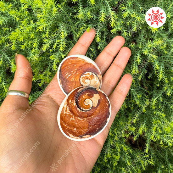 🌀 Gomati Chakra – Wheel of Divine Fortune & Protection - Prashna Kundli Astrology product and vedic astrology