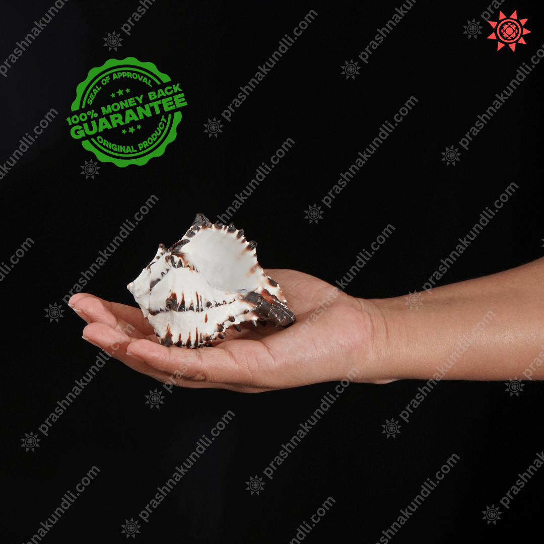 Rahu Shankh Pendant - Enhance Your Spiritual Energy and Protection - Prashna Kundli Astrology product and vedic astrology