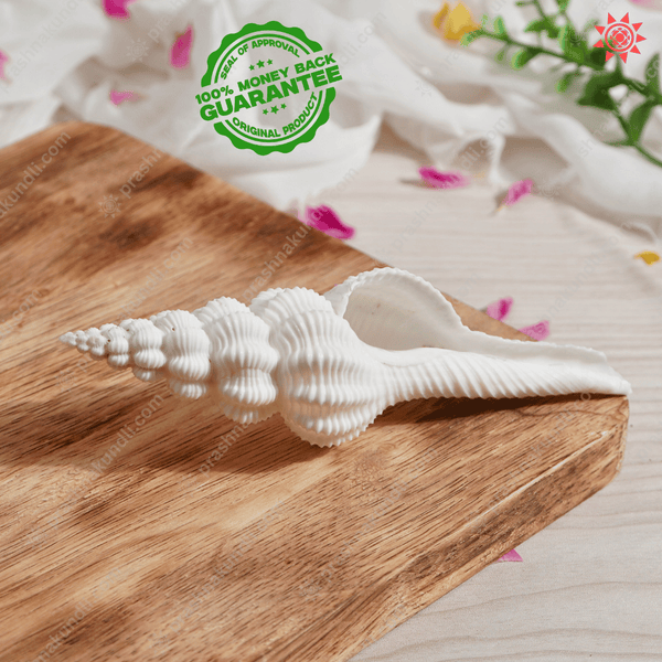 Shukra Shankh Benefits and Uses for Health and Spiritual Well-being - Prashna Kundli Astrology product and vedic astrology