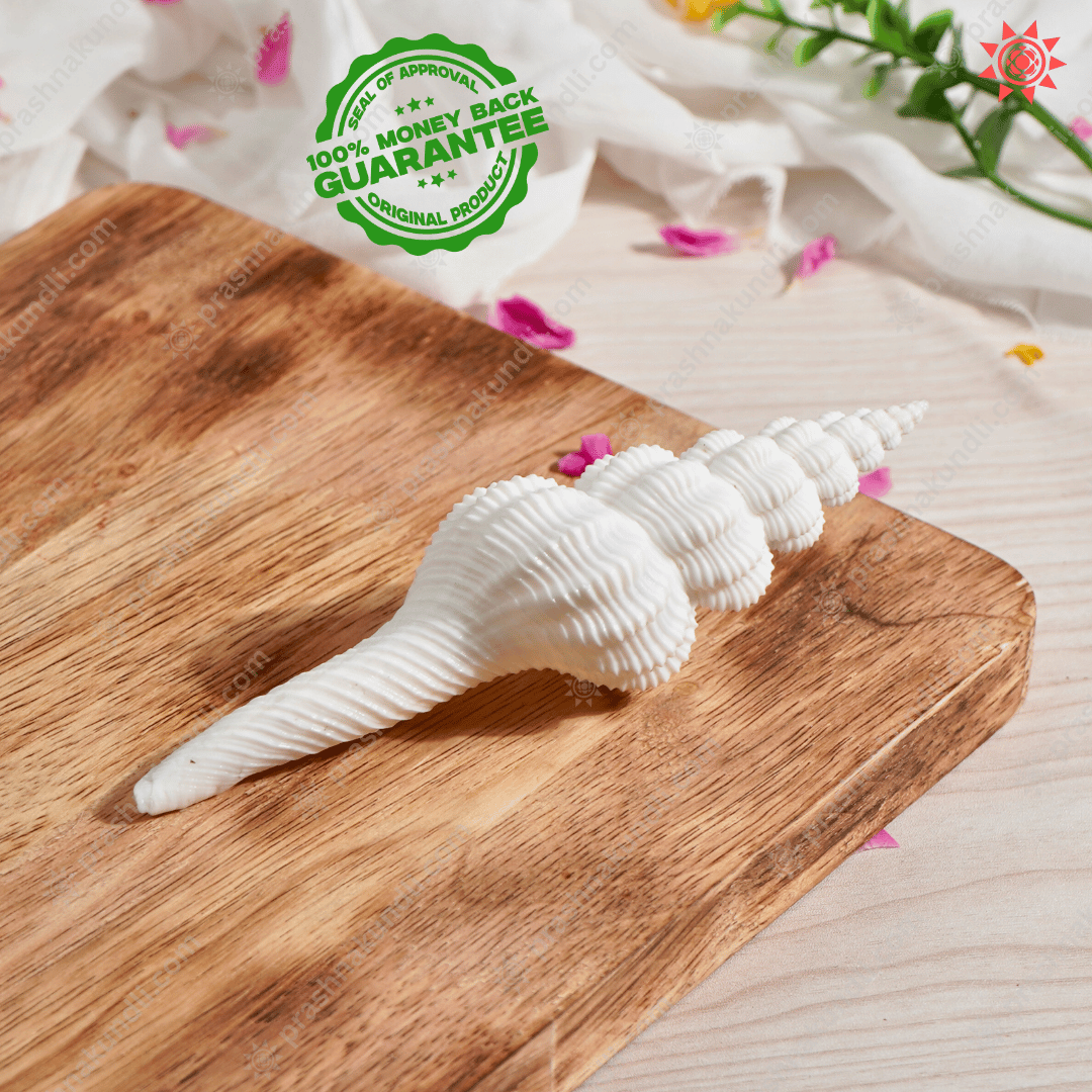 Shukra Shankh Benefits and Uses for Health and Spiritual Well-being - Prashna Kundli Astrology product and vedic astrology