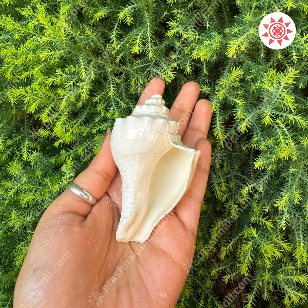 Pooja Shankh – Sacred Sound of the Divine - Prashna Kundli Astrology product and vedic astrology