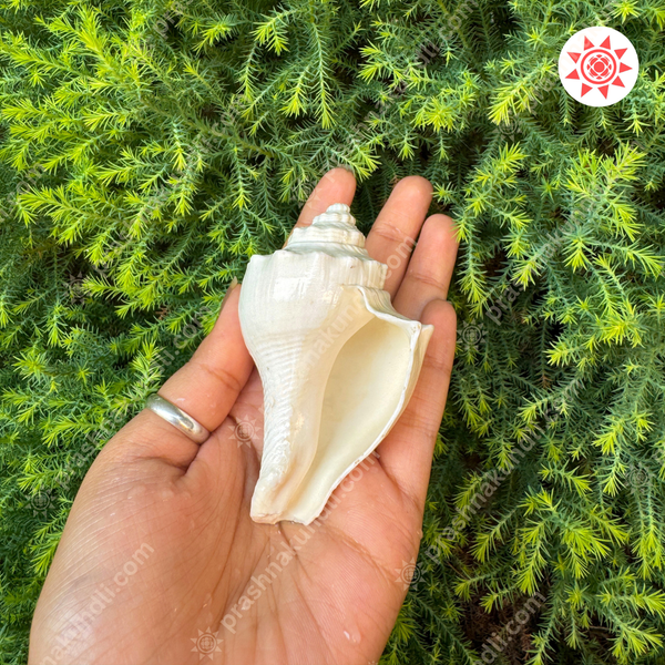 Pooja Shankh – Sacred Sound of the Divine - Prashna Kundli Astrology product and vedic astrology