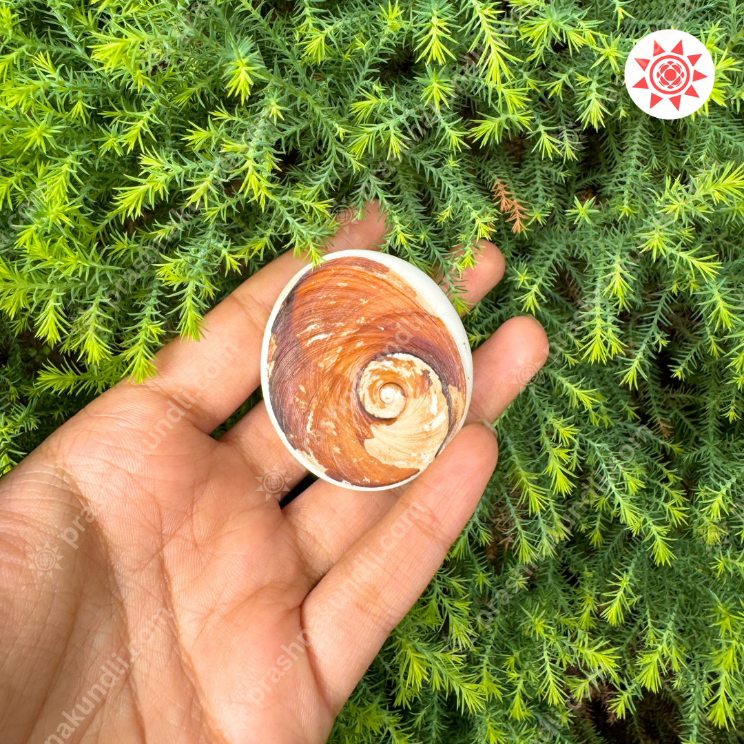 🌀 Gomati Chakra – Wheel of Divine Fortune & Protection - Prashna Kundli Astrology product and vedic astrology