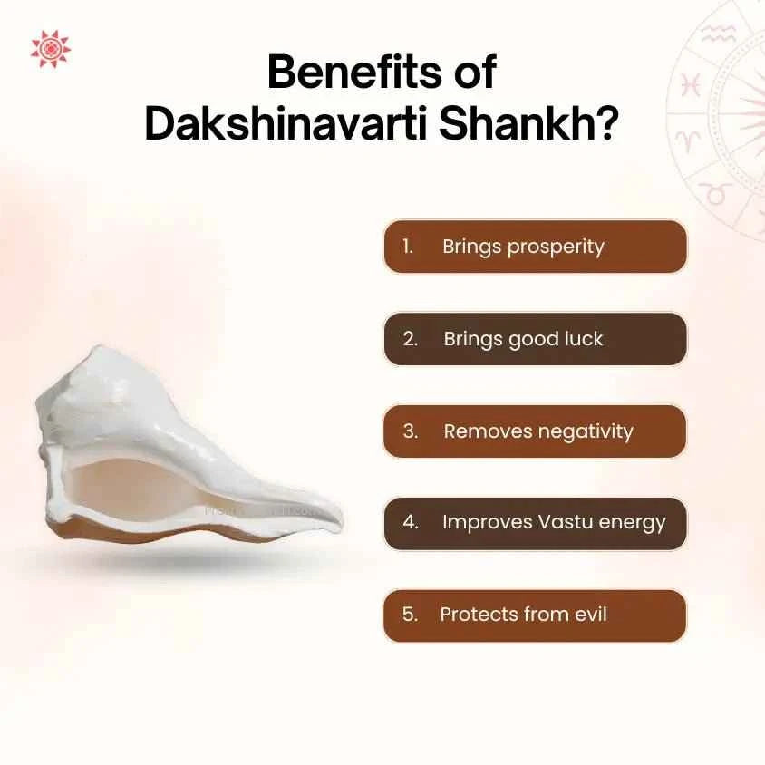 Dakshinavarti Shankh: The Ultimate King of All Shankh - Prashna Kundli Astrology product and vedic astrology