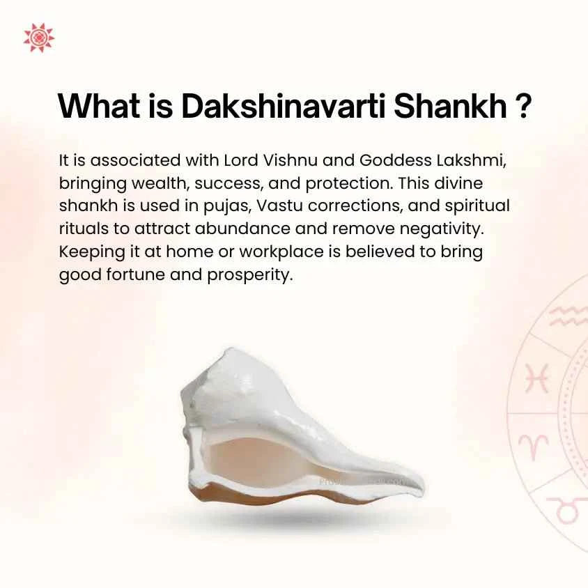 Dakshinavarti Shankh: The Ultimate King of All Shankh - Prashna Kundli Astrology product and vedic astrology