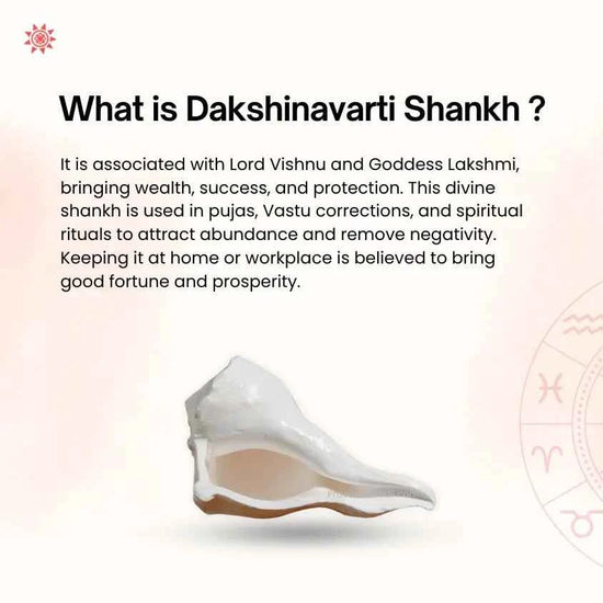 Dakshinavarti Shankh: The Ultimate King of All Shankh - Prashna Kundli Astrology product and vedic astrology