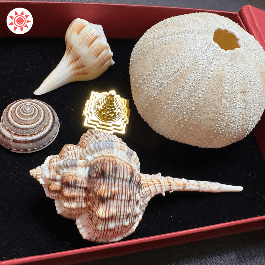 Hari Sampada Kit - Prashna Kundli Astrology product and vedic astrology