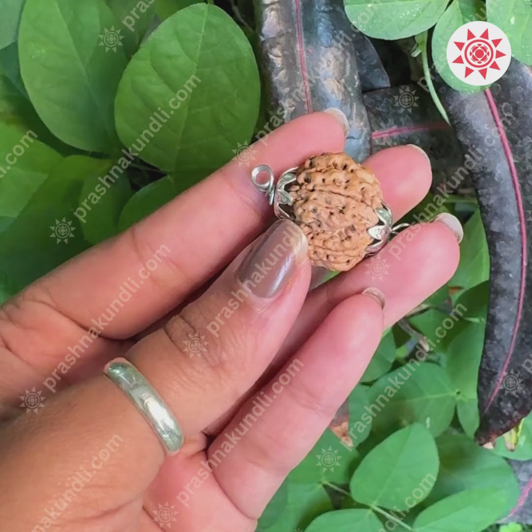 5 mukhi rudraksha by best astrologyr of prashnakundli.com