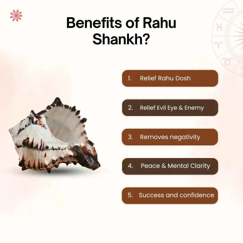 Rahu Shankh Pendant - Enhance Your Spiritual Energy and Protection - Prashna Kundli Astrology product and vedic astrology