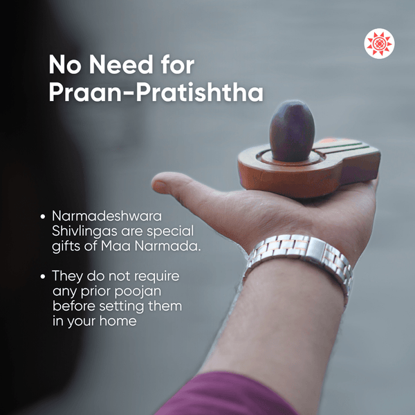 Shree Narmadeshwar Shivlinga - Original Narmadeshwar Shivling from Omkareshwara Jyotirlinga Ghat - Prashna Kundli Astrology product and vedic astrology