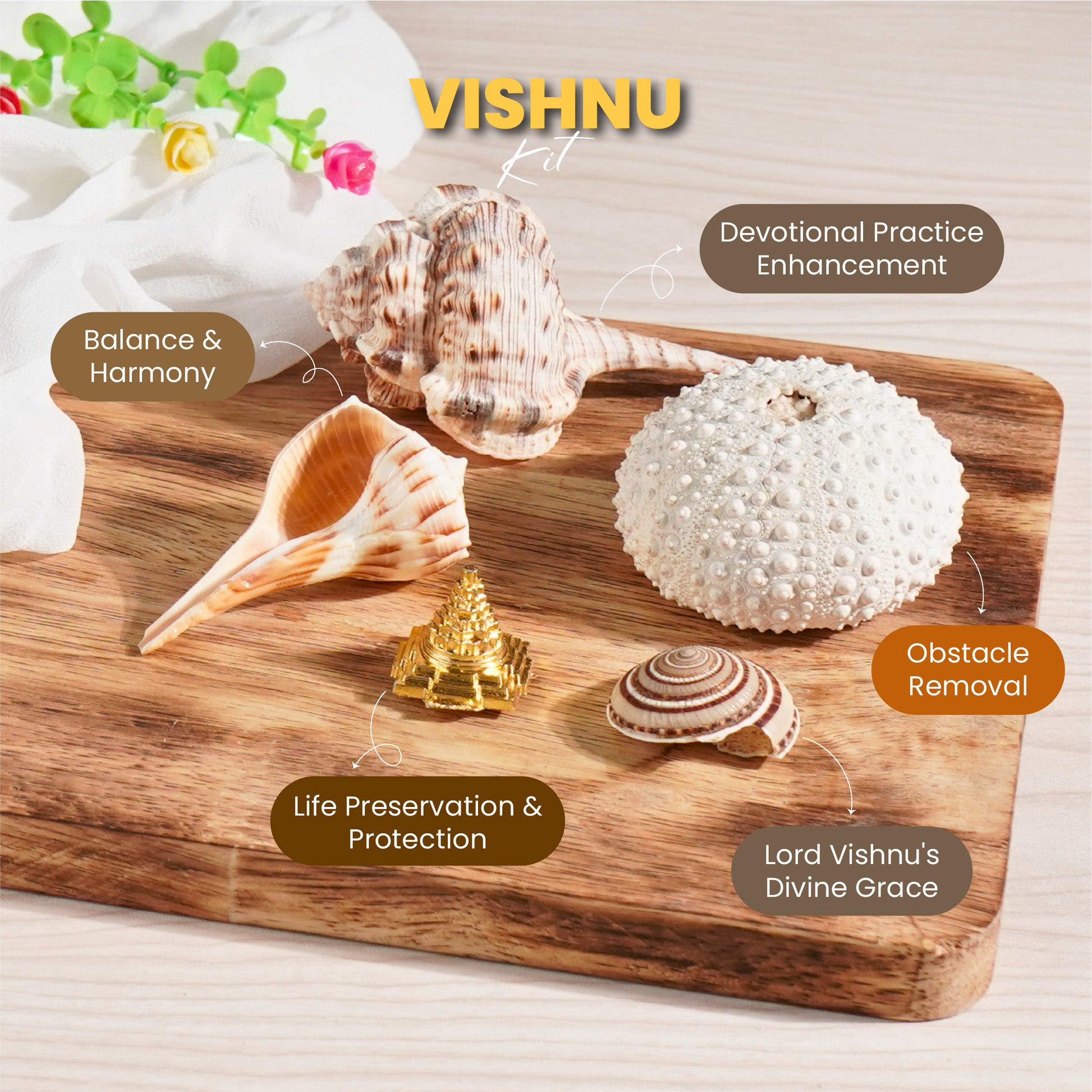 Hari / Vishnu kit benefits - prashna kundli