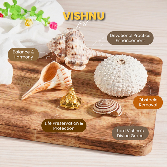 Hari / Vishnu kit benefits - prashna kundli